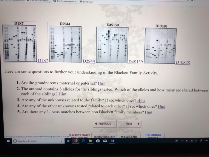 Blackett Family Dna Activity 1 Answer Key | Family