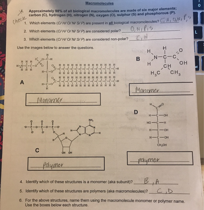 Solved Macromolecules Approximately 98 Of All Biological Chegg Com