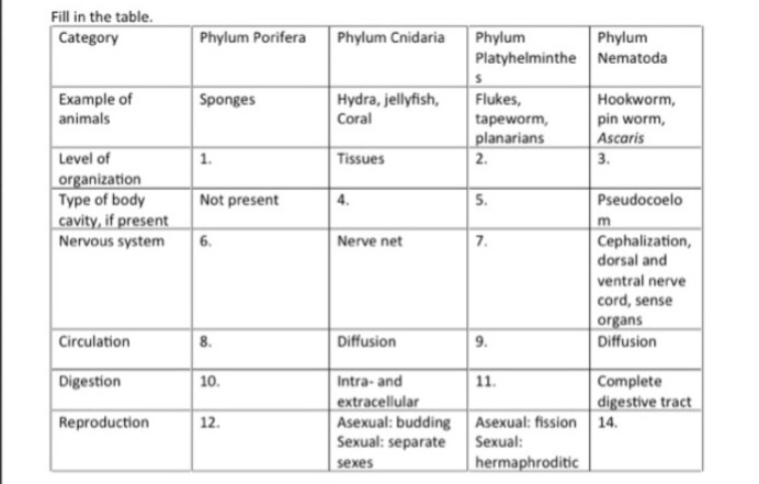 Solved Fill in the table Category Phylum Porifera Phylum 