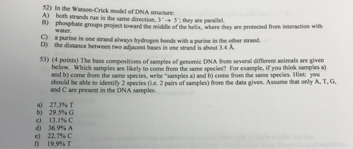 Solved 52 In The Watson Crick Model Of Dna Structure A Chegg Com