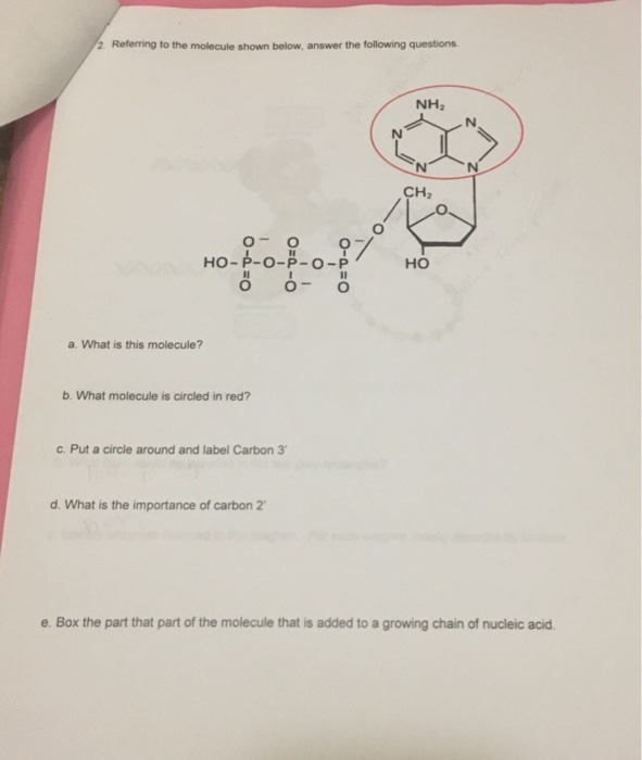 Solved 1 Describe The Essential Features Of Dna Structur Chegg Com