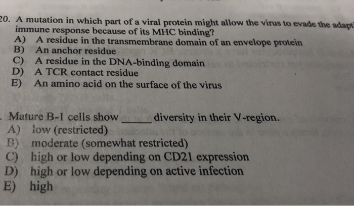 20. A mutation in which part of a viral protein might allow the virus to evade the adap immune response because of its MHC binding? A) A residue in the transmembrane domain of an envelope protein B) An anchor residue C) A residue in the DNA-binding domain D) A TCR contact residue E) An amino acid on the surface of the virus Mature B-I cells show diversity in their V-region. A) low (restricted) B) moderate (somewhat restricted) C) high or low depending on CD21 expression high or low depend E) high