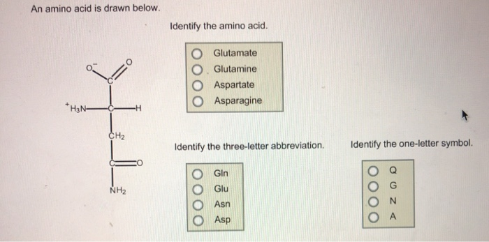 Solved An Amino Acid Is Drawn Below Identify The Amino Chegg Com Solved An Amino Acid Is Drawn Below Identify The Amino Chegg Com