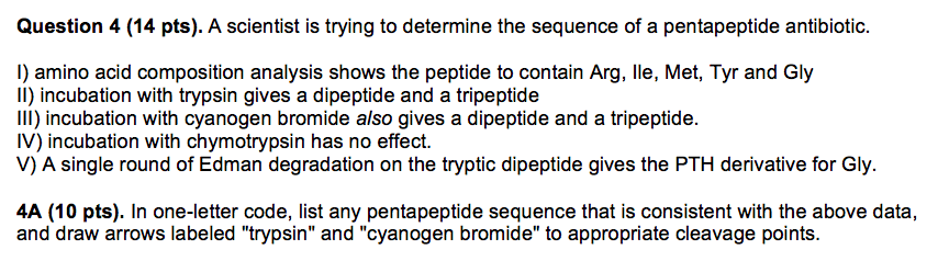 Question 4 (14 pts). A scientist is trying to determine the sequence of a pentapeptide antibiotic. ) amino acid composition analysis shows the peptide to contain Arg, lle, Met, Tyr and Gly I) incubation with trypsin gives a dipeptide and a tripeptide III) incubation with cyanogen bromide also gives a dipeptide and a tripeptide IV) incubation with chymotrypsin has no effect. V) A single round of Edman degradation on the tryptic dipeptide gives the PTH derivative for Gly 4A (10 pts). In one-letter code, list any pentapeptide sequence that is consistent with the above data, and draw arrows labeled trypsin and cyanogen bromide to appropriate cleavage points.