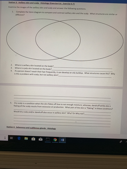 Solved Station 3 Axillary Skin And Scalp Histology Exe Chegg Com