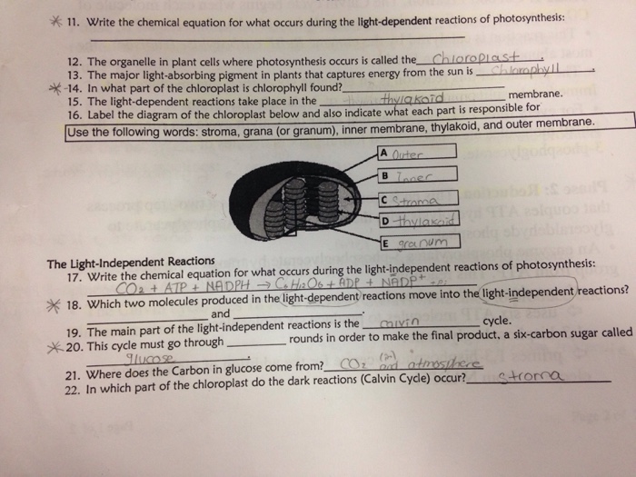 11 Write The Chemical Equation For What Occurs Chegg Com
