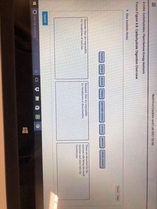 Ask me essay 07 image