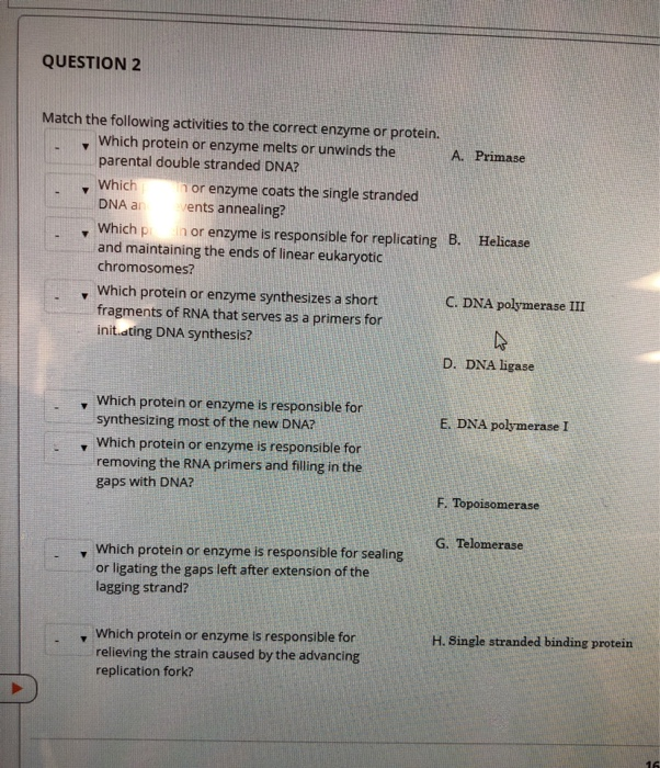 match the following activities