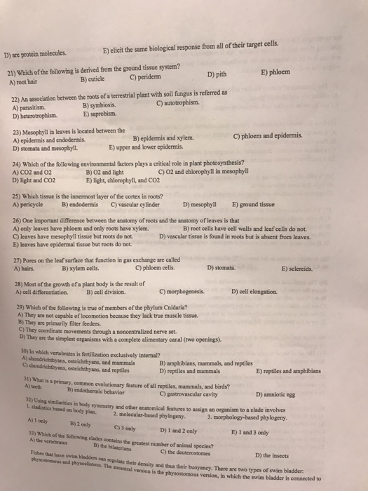 Solved Which The Following Is Derived From The Ground Tissue | Chegg.com