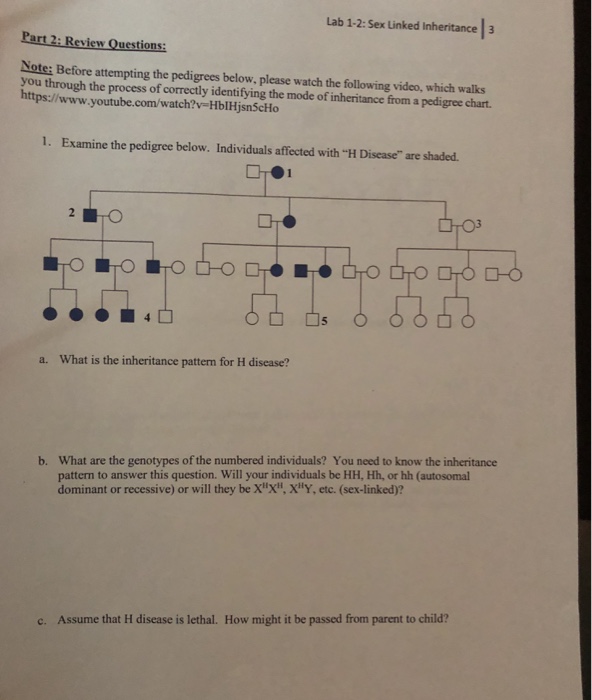 Solved Lab 1 2 Sex Linked Inheritance3 Part 2 Review Qu Chegg Com