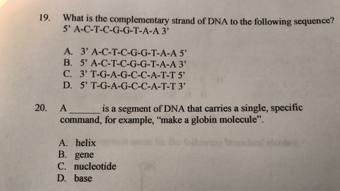 Solved 19 What Is The Complementary Strand Of Dna To The Chegg Com