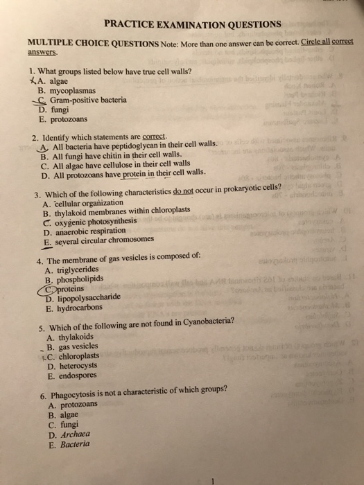 Practice Examination Questions Multiple Choice Chegg 