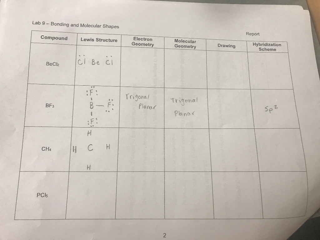 Solved Lab 9 Bonding And Molecular Shapes Report Molecul Chegg Com