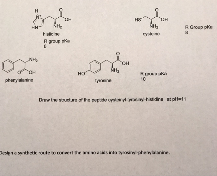 Гистидин формула. Гистидин цистеин. Цистеин аланин гистидин. Фенилаланин тирозин цистеин. Гистидин в пептиде.