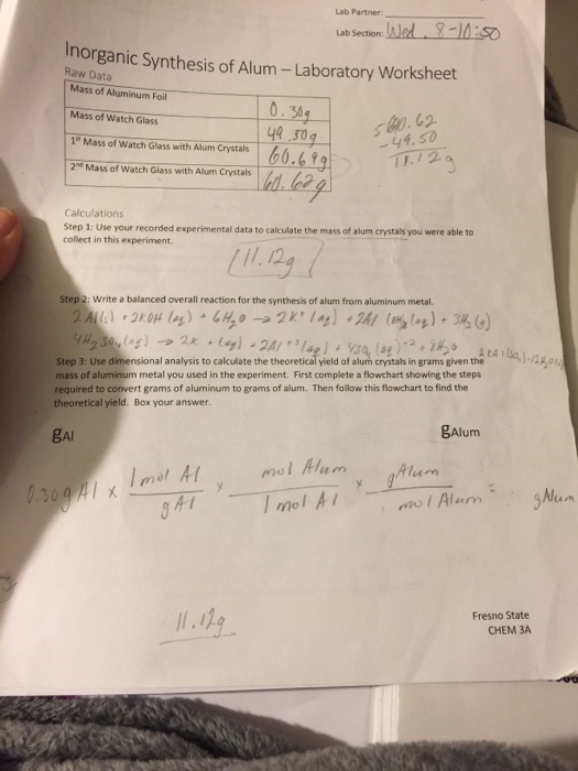 Dehydration synthesis lab picture