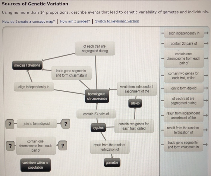 Genetic Variation Concept Map Solved: Sources Of Genetic Variation Using No More Than 14 