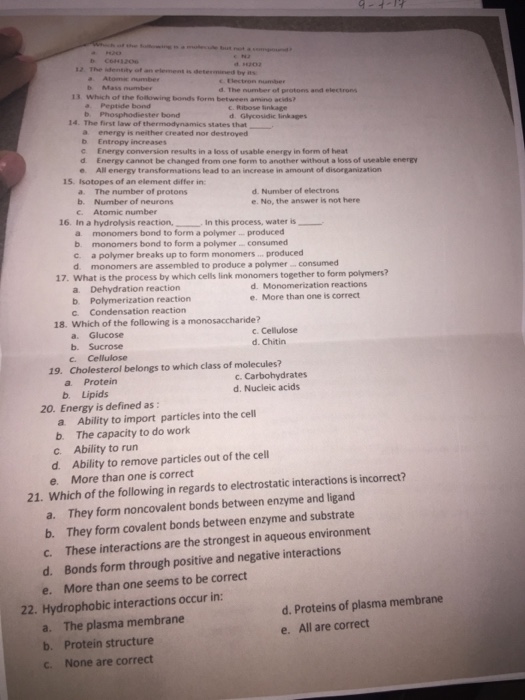 Solved The First Law Of Thermodynamics States That A Chegg Com