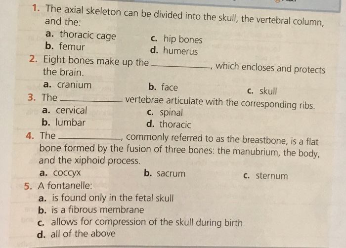 Solved 1 All The Following Are Functions Of The Skeleton Chegg Com