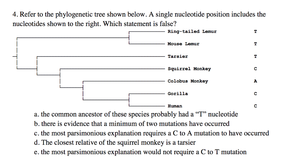 4. Refer to the phylogenetic tree shown below. A single nucleotide position includes the nucleotides shown to the right. Which statement is false? Ring-tailed Lemur Mouse Lemur Tarsieir Squirrel Monkey Colobus Monkey -Gorilla Human a. the common ancestor of these species probably had a T nucleotide b. there is evidence that a minimum of two mutations have occurred c. the most parsimonious explanation requires a C to A mutation to have occurred d. The closest relative of the squirrel monkey is a tarsier e. the most parsimonious explanation would not require a C to T mutation