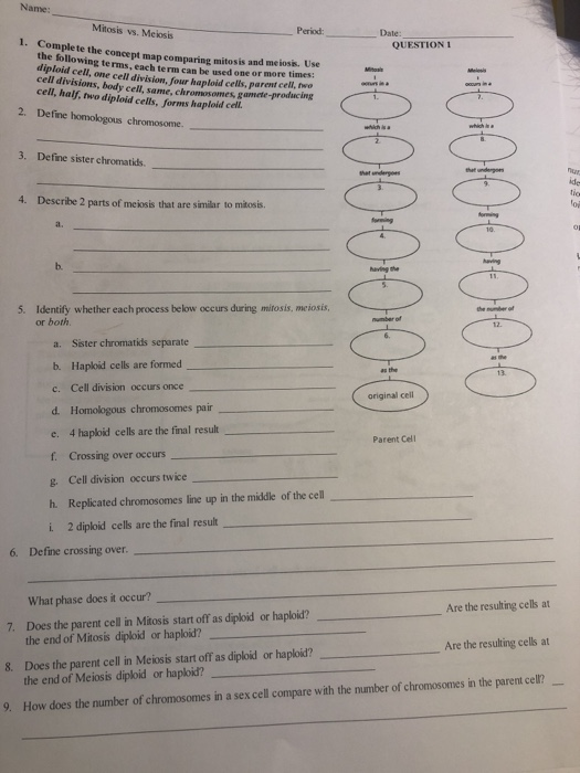 Complete The Concept Map Comparing Mitosis And Meiosis Answers Solved: Name: Mitosis Vs. Melosis Period Date: QUESTION 1 