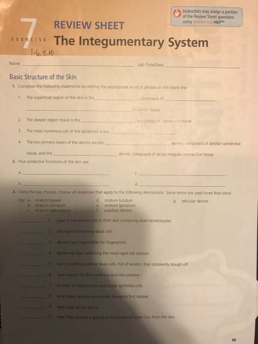 Solved The Integumentary System Please Answer Questions Chegg Com