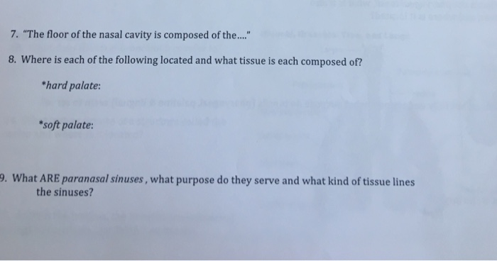 Solved 7 The Floor Of The Nasal Cavity Is Composed Of T