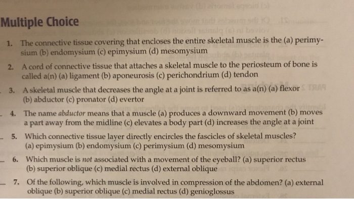 Solved Multiple Choice The Connective Tissue Covering Tha Chegg Com