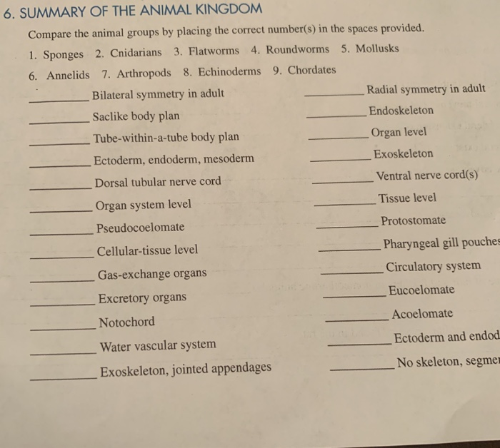 Solved 6. SUMMARY OF THE ANIMAL KINGDOM Compare the animal 