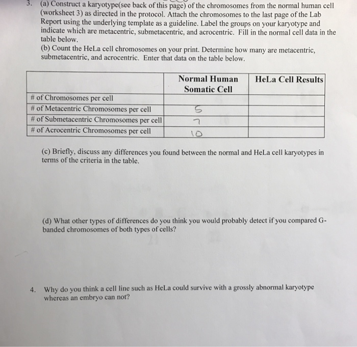 Karyotype test results image