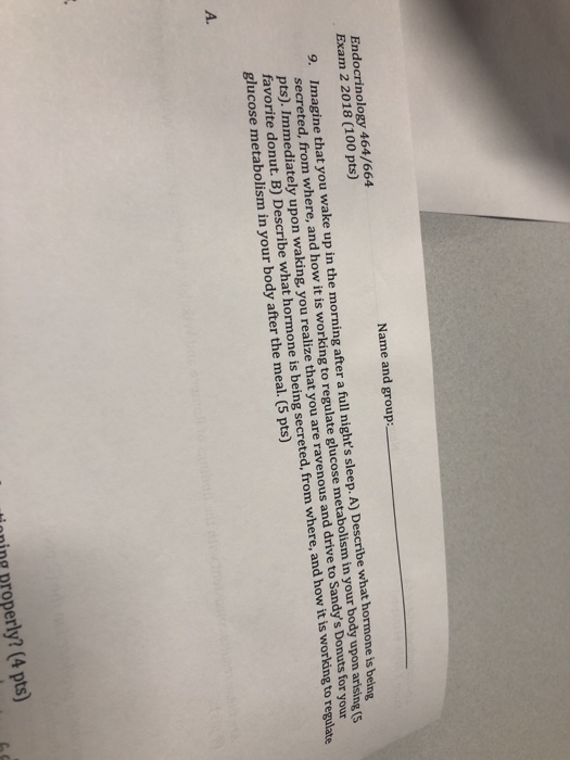 JN0-664 Fragen Beantworten