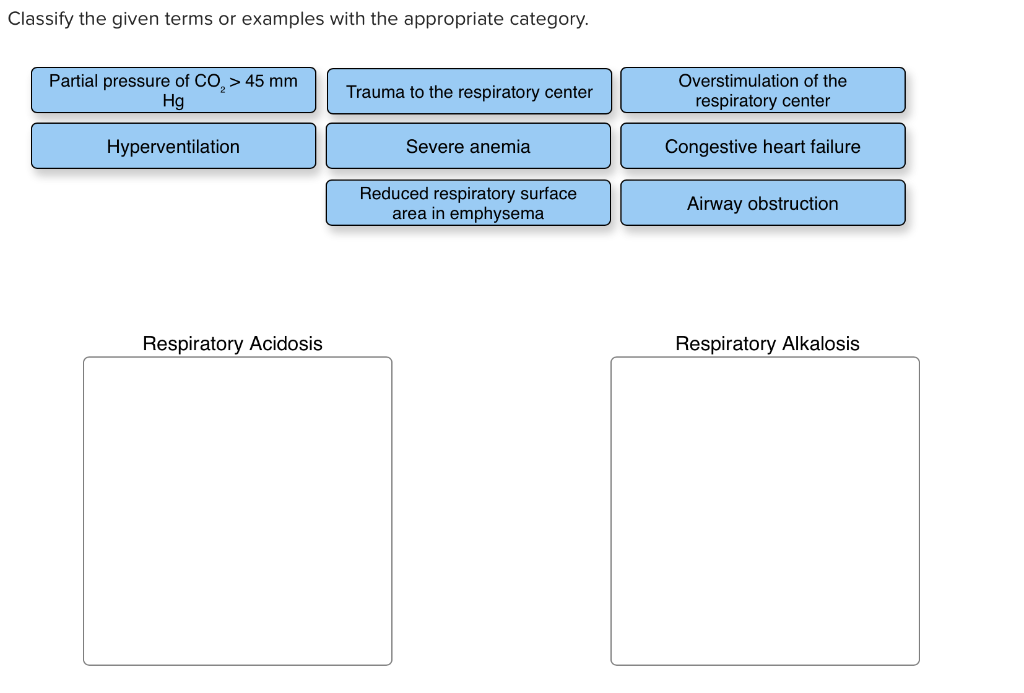 Solved Classify The Given Terms Or Examples With The Appr