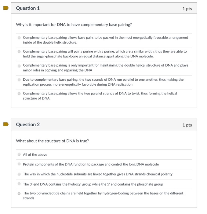 Solved Question 1 1 Pts Why Is It Important For Dna To Ha Chegg Com