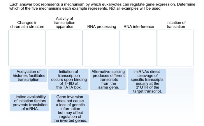 Post-transcriptional 3´-UTR cleavage of mRNA transcripts generates