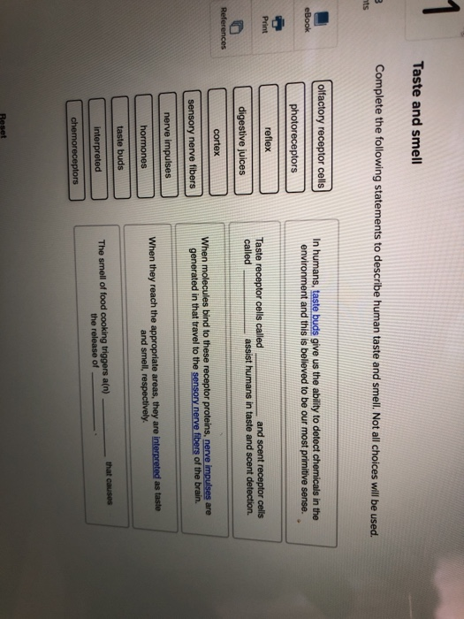 Which tastes are sensed by the taste buds on a human tongue image