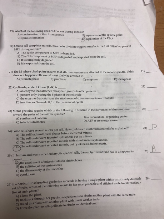 solved-19-which-of-the-following-does-not-occur-during-m-chegg