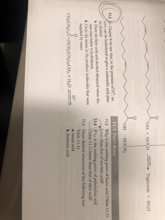 Solved Oh Hoch Triglyceride 3h2o Oh Hoch2 11 2 N Chapter Chegg Com