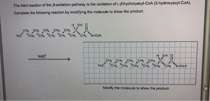 Solved The Third Reaction Of The Ss Oxidation Pathway Is T Chegg Com