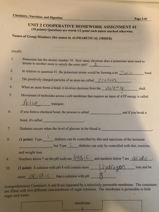 Nutrition assignment template image