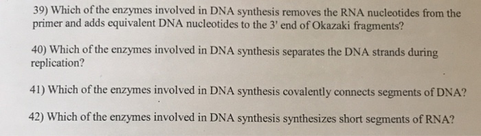 Solved 39) Which Of The Enzymes Involved In Dna Synthesis | Chegg.com Solved 39) Which Of The Enzymes Involved In Dna Synthesis | Chegg.com