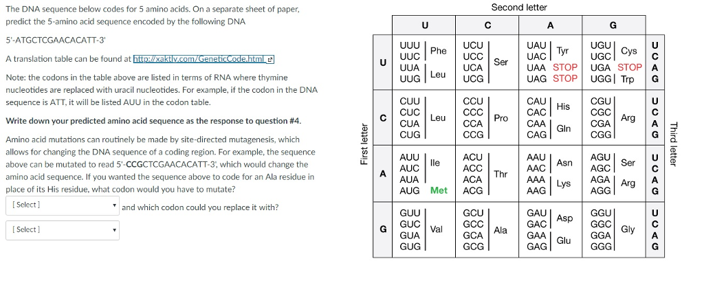 Solved What Is The Amino Acid Sequence Coded By The Origi Chegg Com