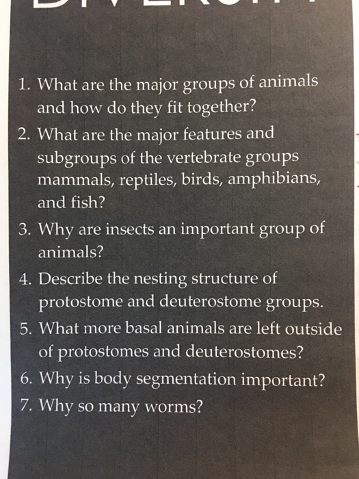 Solved 1. What are the major groups of animals and how do 