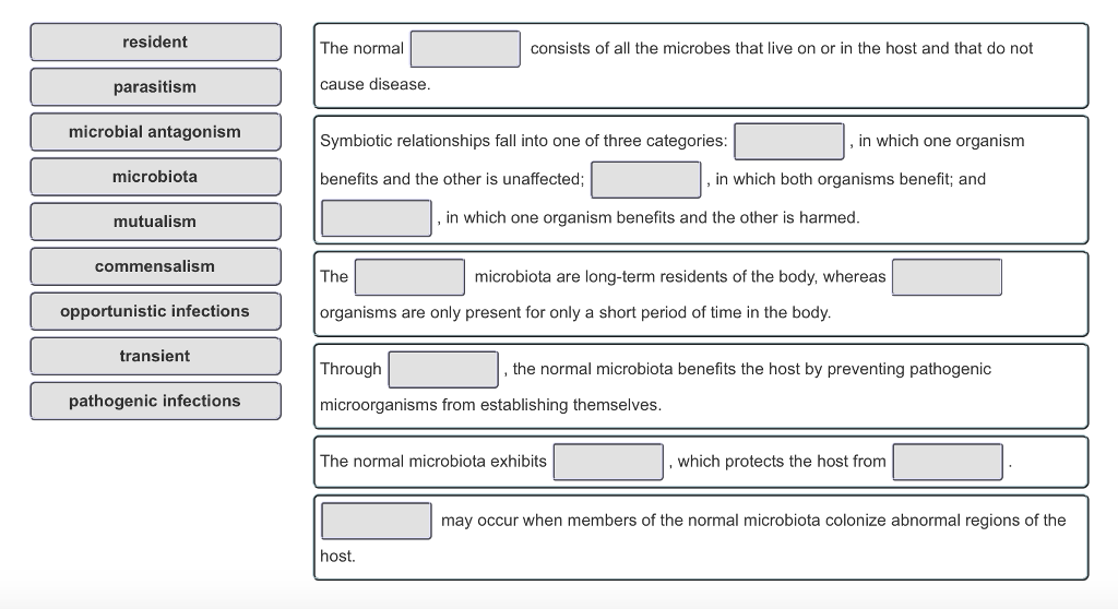 Solved Resident The Normal Consists Of All The Microbes That | Chegg.com Solved Resident The Normal Consists Of All The Microbes That | Chegg.com