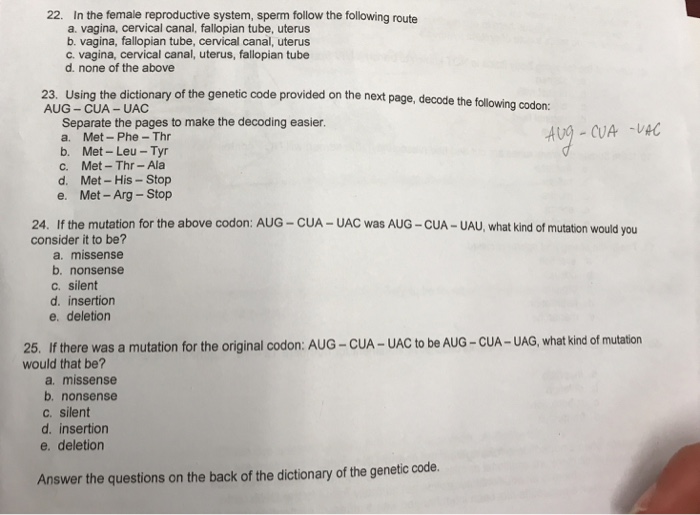 Female reproductive system case study and questions picture