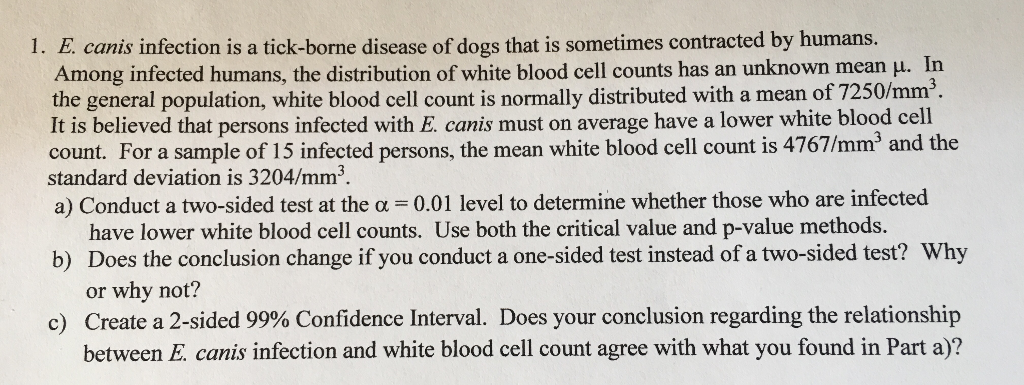 can dog blood infect humans