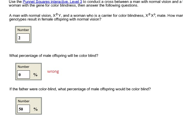 Solved Use The Punnet Sauares Interactive Level 3 To Cond