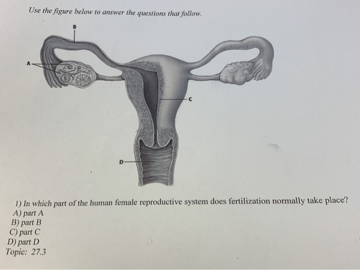 Solved Use The Figure Below To Answer The Questions That