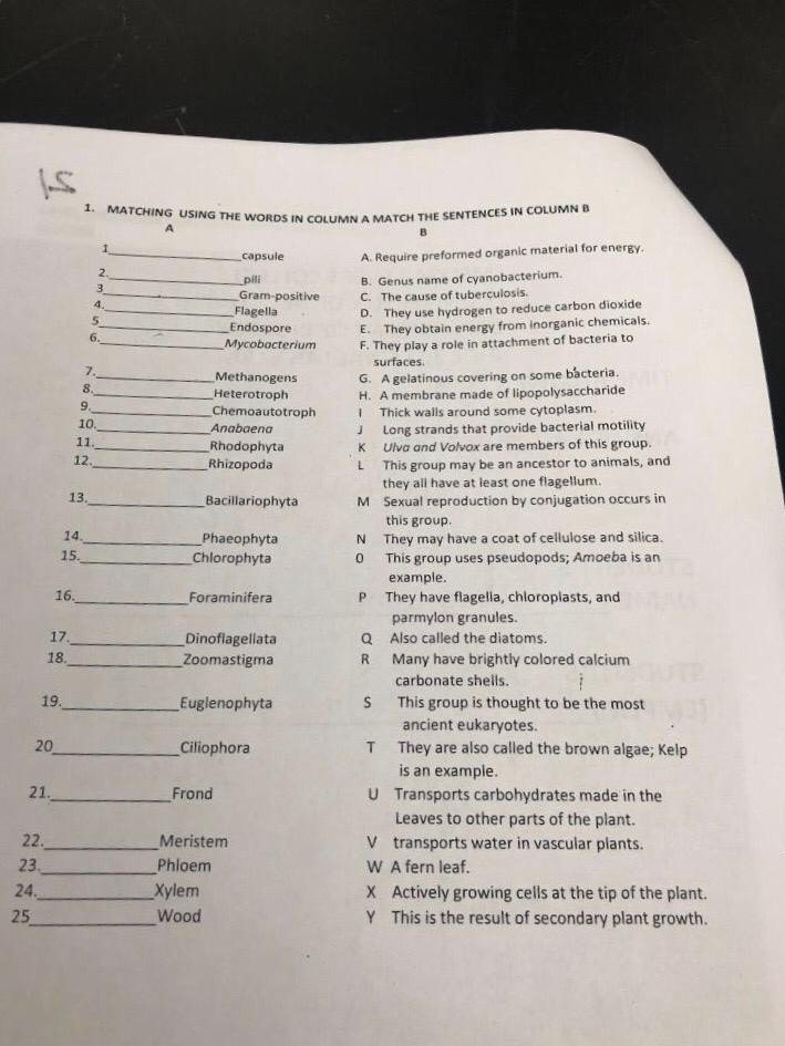 USING THE THE Solved: MATCHING ... WORDS MATCH A COLUMN 1. IN