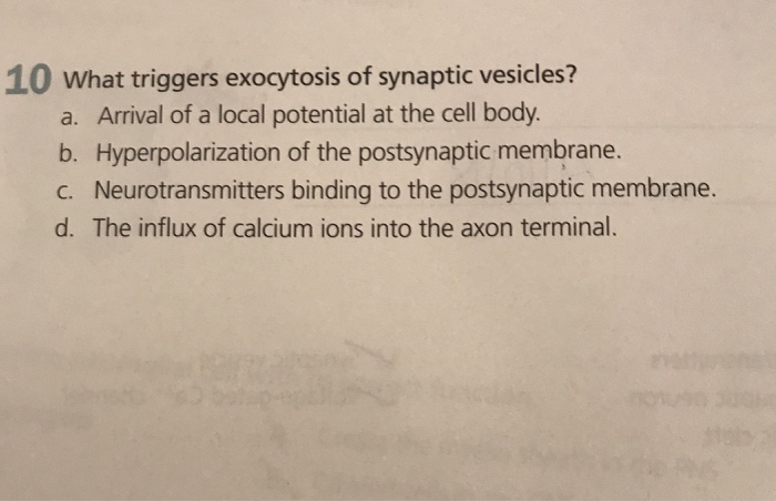 Solved Which Of The Following Cranial Nerves Is A Purely | Chegg.com