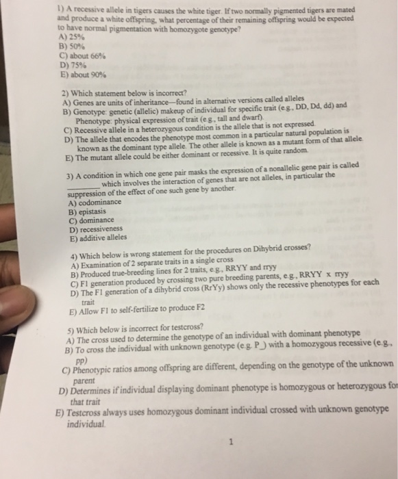 Solved: A Recessive Allele In Tigers Causes The White Tige ...