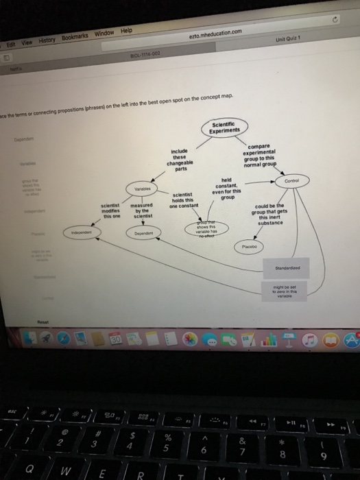 place the provided terms or connecting phrases in the best open spot on the concept map Solved The Terms Of Connecting Propositions Phrases On place the provided terms or connecting phrases in the best open spot on the concept map